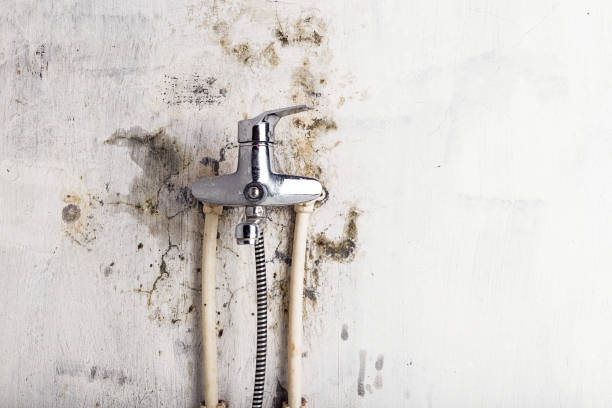 Certified Mold Removal in Bismarck, ND