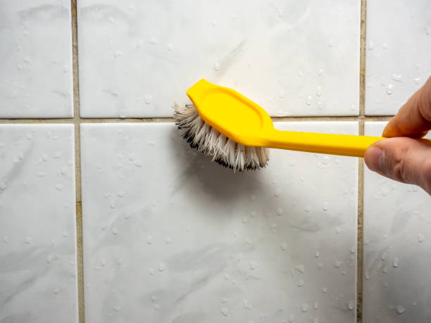 Best Home Mold Removal  in Bismarck, ND